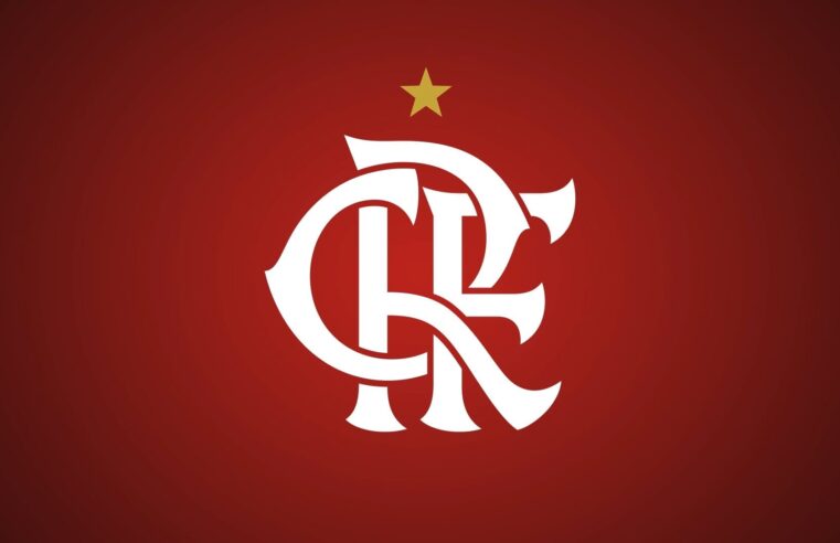 Flamengo: A História de uma Jornada Gloriosa