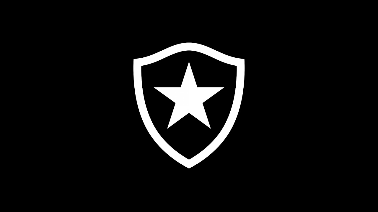 Botafogo: A História da Estrela Solitária
