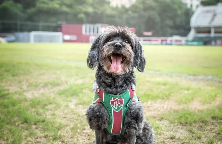 A Incrível História de Pretinha: A Torcedora Fiel do Fluminense que Viralizou