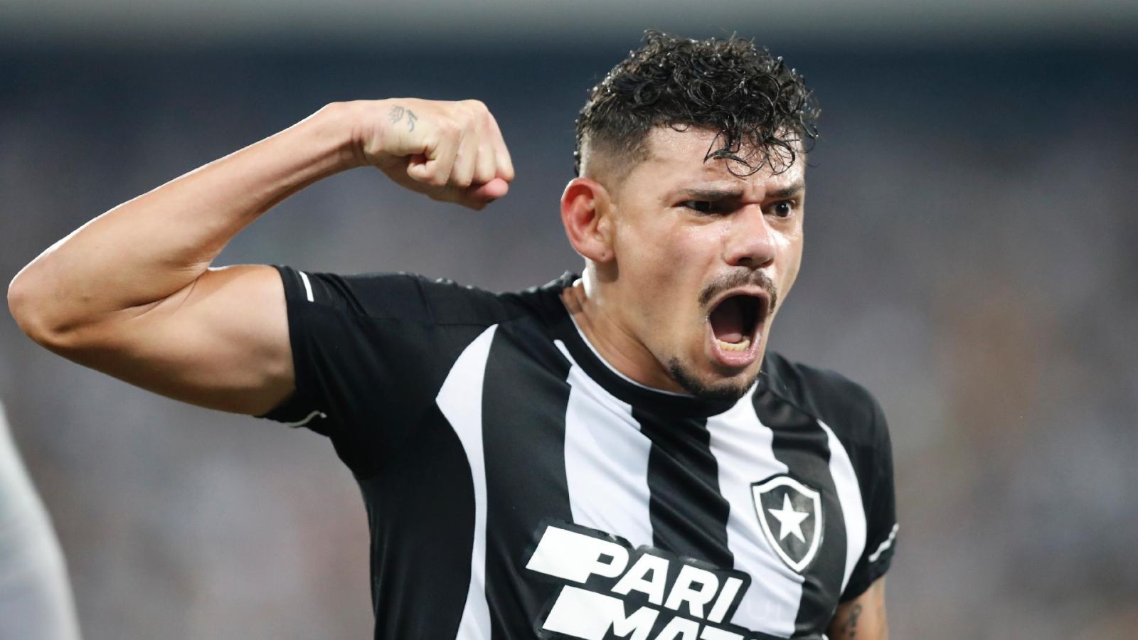 Os 40 Gols de Tiquinho Soares no Botafogo